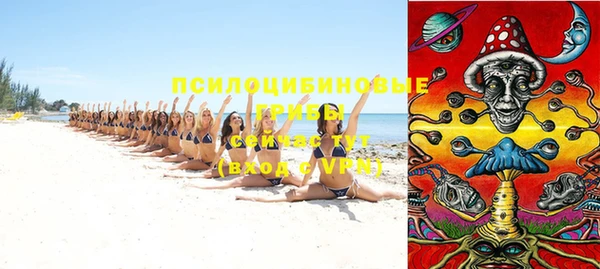 кокс Вяземский