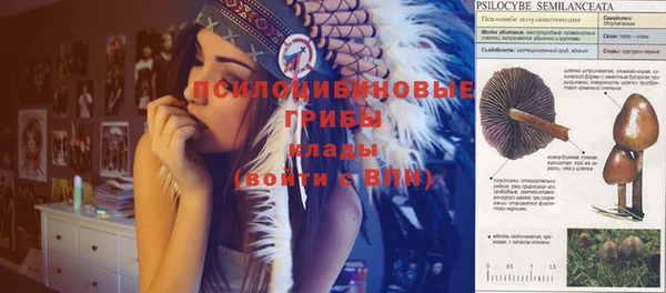 кокс Вяземский